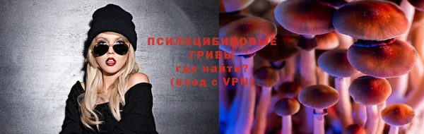 амф Белоозёрский