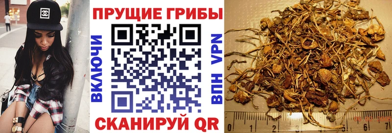 Псилоцибиновые грибы MAGIC MUSHROOMS  Вуктыл 